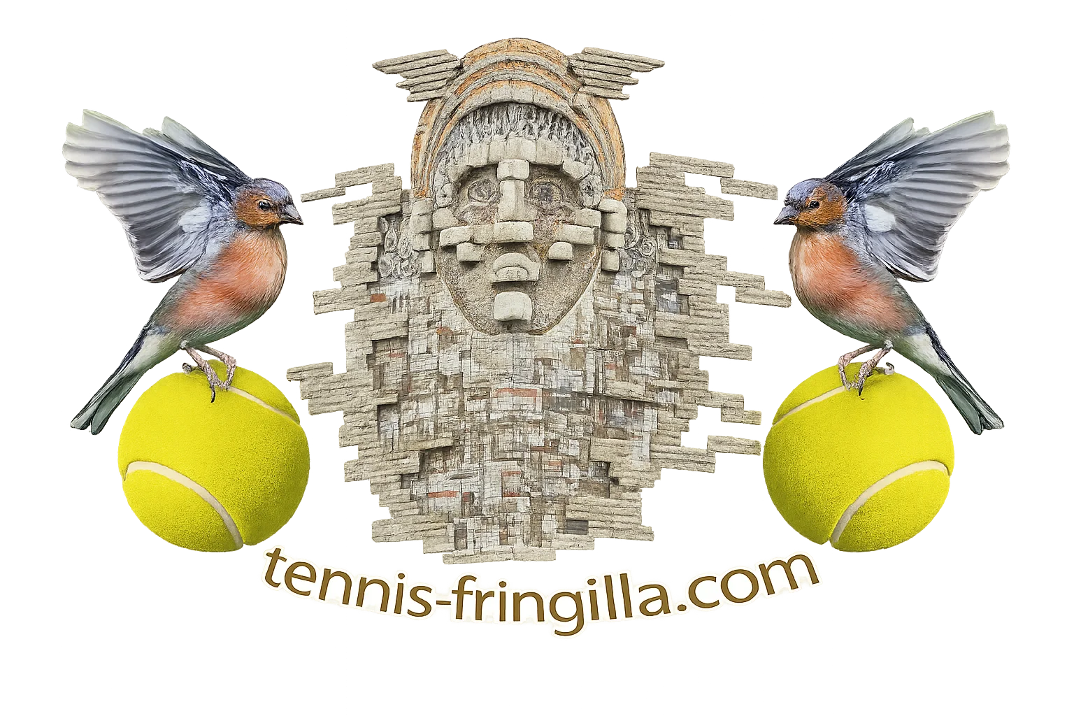 Tennis Fringilla